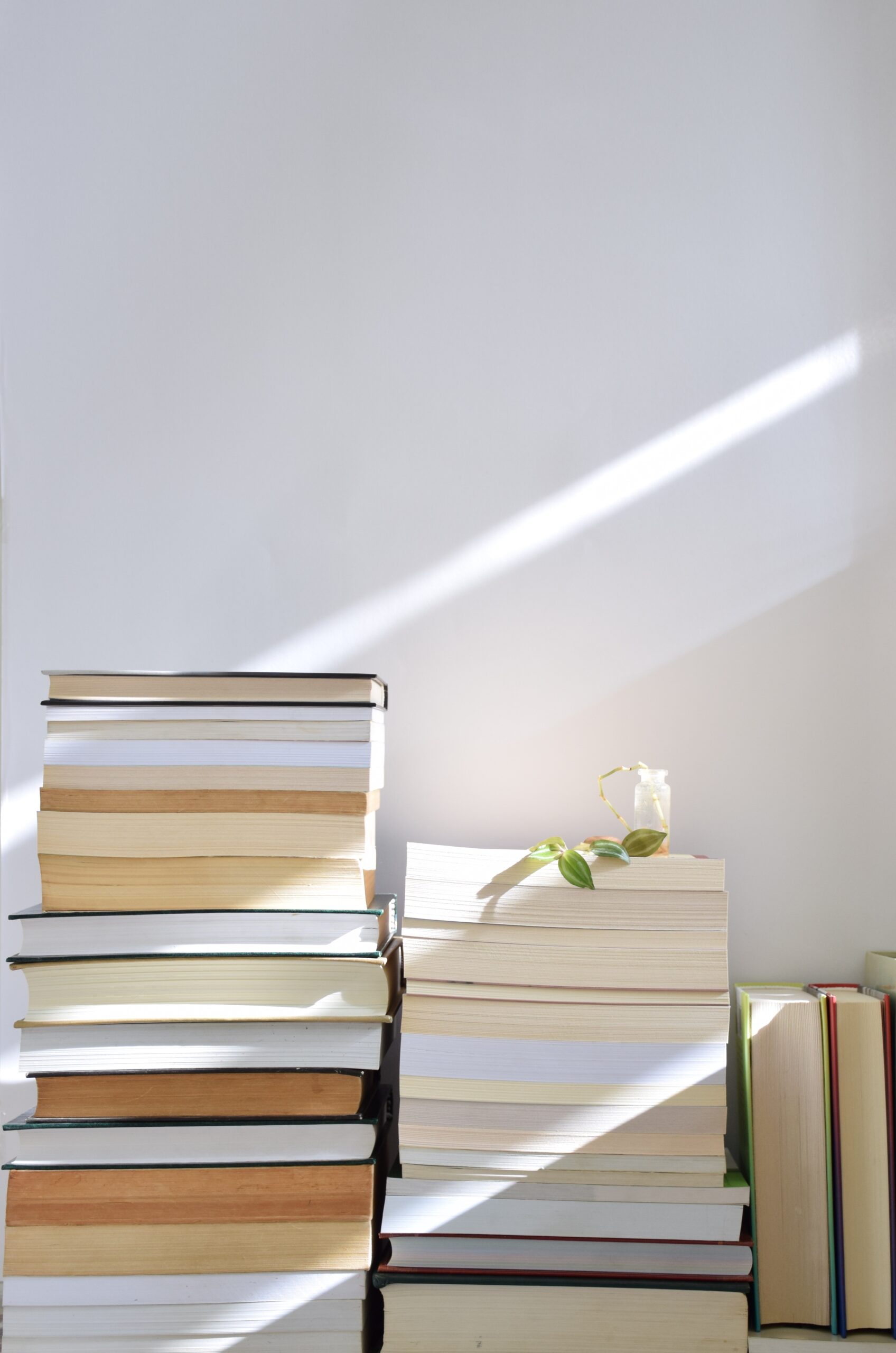 The Essential Guide to Starting a Reading Habit - Ditching the Daydream